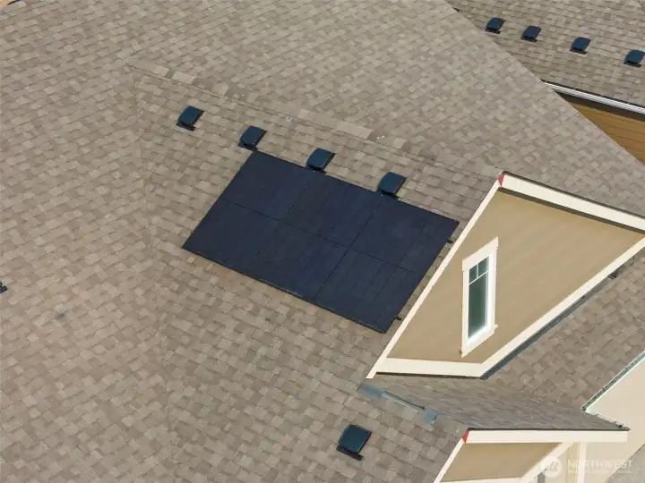 Silfab solar panels are a standard energy-efficient feature.