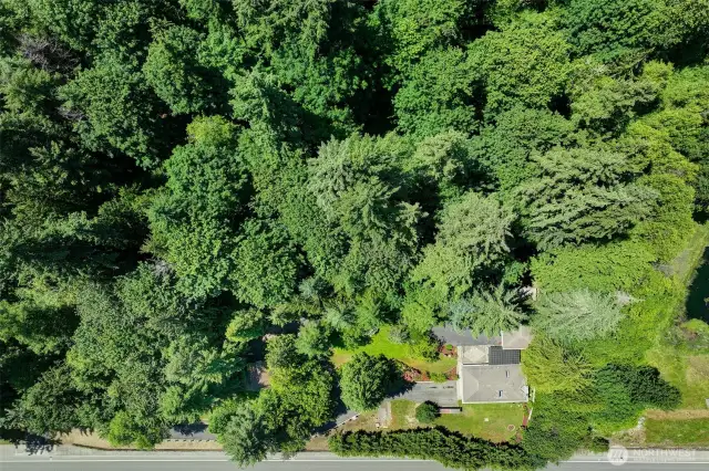 Another aerial view of the property acreage - just a short distance to the transit center or you can hop on I-90 in no time.  Served by Issaquah Schools.