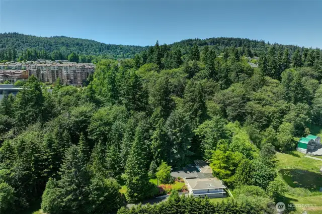 The 2.6373 site generally runs parallel to Hwy 900/Renton Issaquah Rd SE