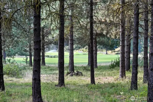 View from patio to 14th fairway