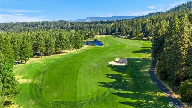 14th fairway