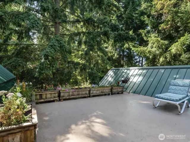 Unique, private rooftop deck, looking towards the woods/island interior.