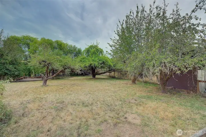 Fruit tree orchard