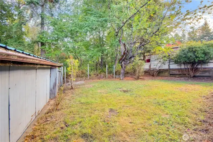 Backyard looking east