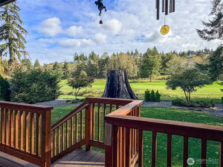 Resplendent view from the deck.