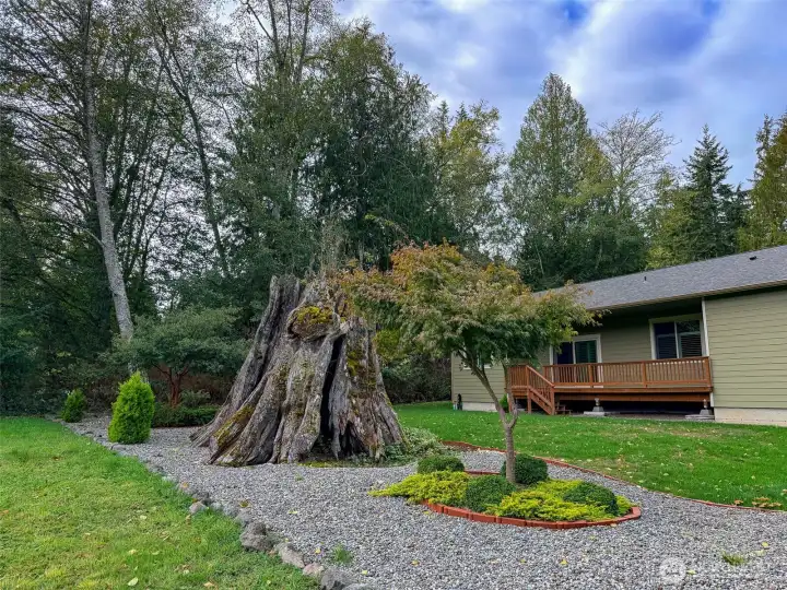 Large tree buffer on the south side of the home.