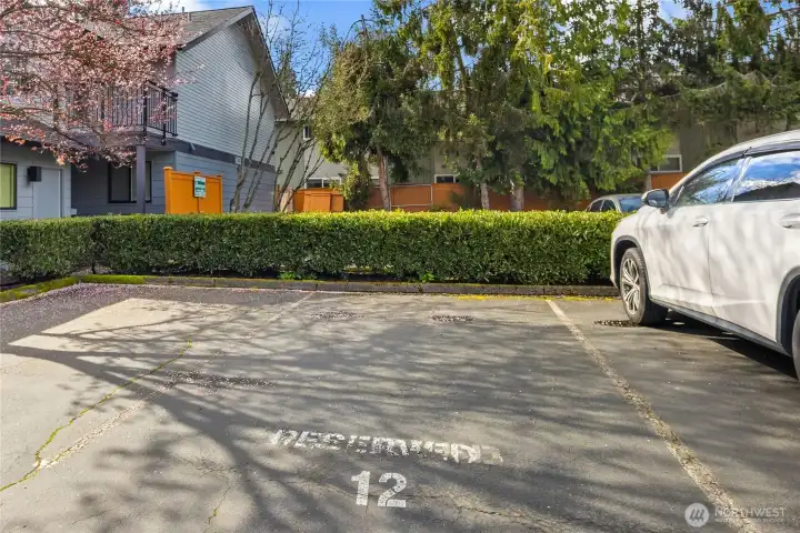 Your second parking space.  Also plenty of guest parking for the complex