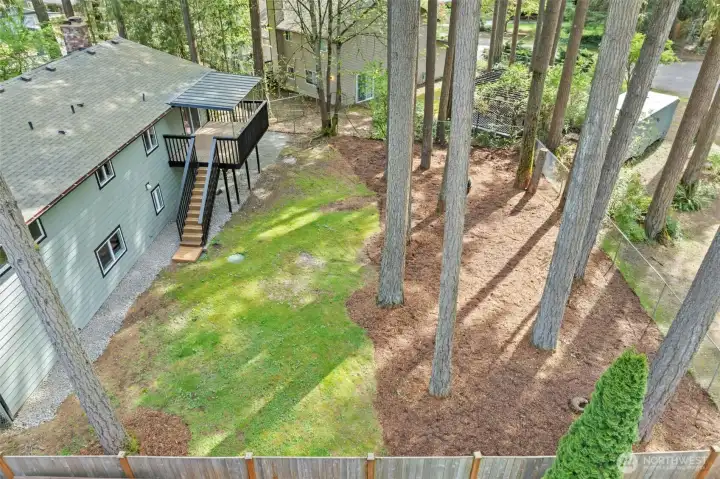 Back yard is so peaceful with towering fir trees that have a carbon footprint of 35,641 pounds!