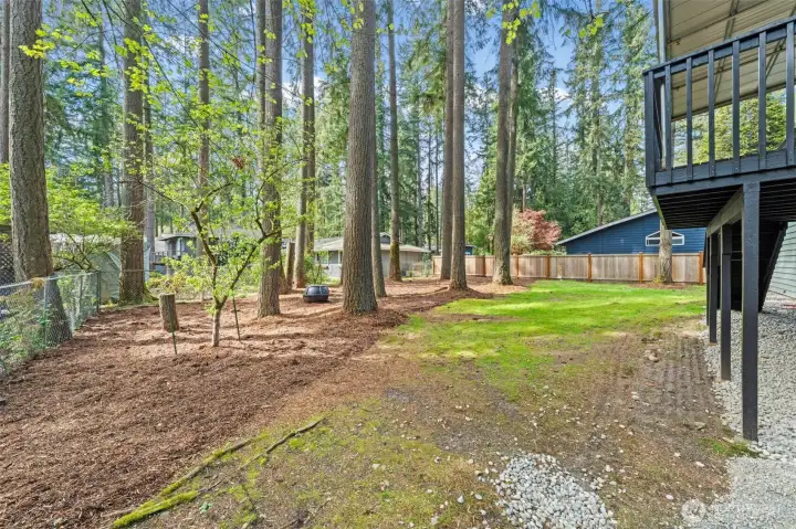 So lovely with long established fir trees that have a carbon footprint of 35,641 pounds!