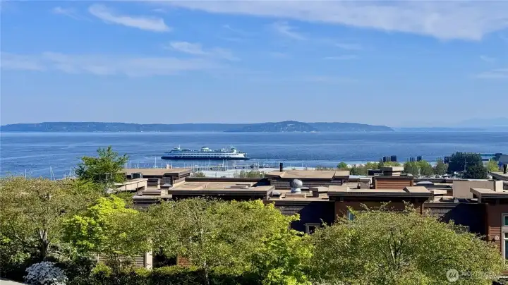 You can sit on your private balcony and enjoy the passing ferries You can sit on your private balcony and enjoy the passing ferries