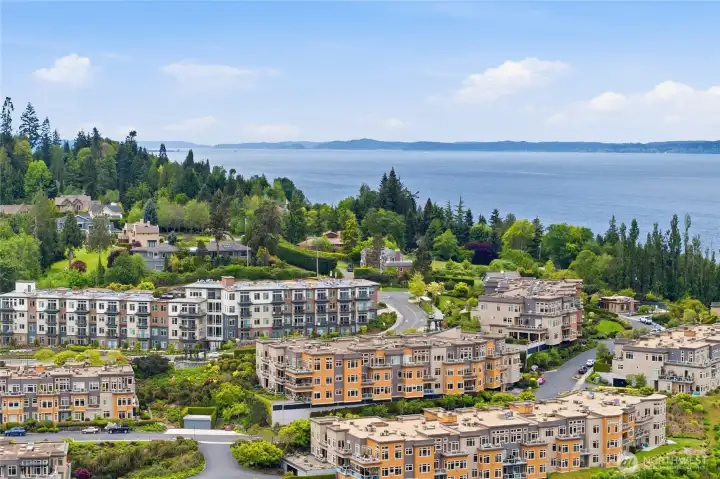An aerial view looking inland toward 50 Pine Street showcases the thoughtfully designed 68-unit community, surrounded by lush greenery, charming residential streets, and a welcoming neighborhood atmosphere. An aerial view looking inland toward 50 Pine Street showcases the thoughtfully designed 68-unit community, surrounded by lush greenery, charming residential streets, and a welcoming neighborhood atmosphere.