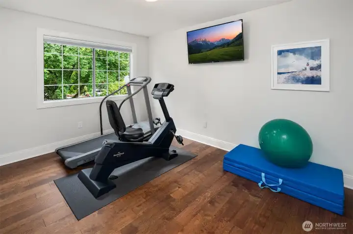 Bedroom #3  Currently decorated as a workout room; has Hardwood floors, a Wood Wrapped Window, double ceiling lights and a top down/bottom up black out shade.  You will have plenty of room for all your clothes - the closet is approx 9 feet long!