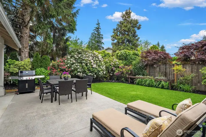 The Patio and lawn area with stand-up planting beds.