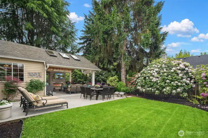 Looking from the corner of the yard toward both the uncovered and covered patios.  Note the old growth Rhodedendrons that bloom in 4 different colors this time of year.