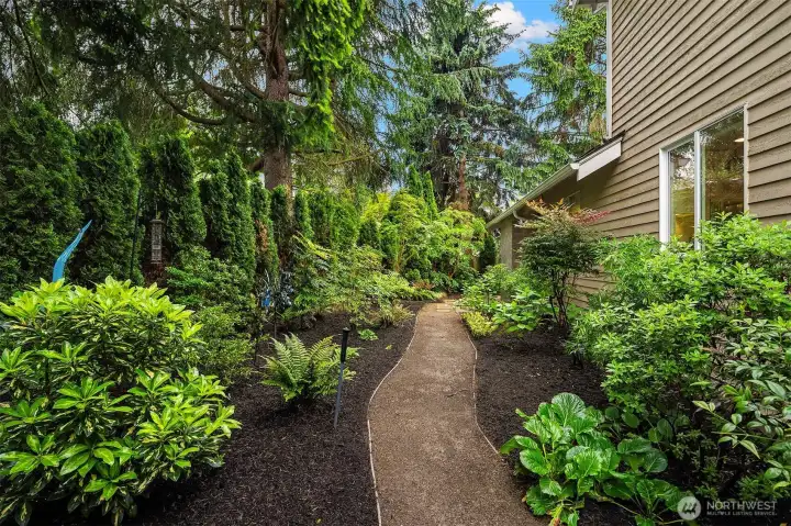 This is the south side of the house where an arborteum was created with a walking path.