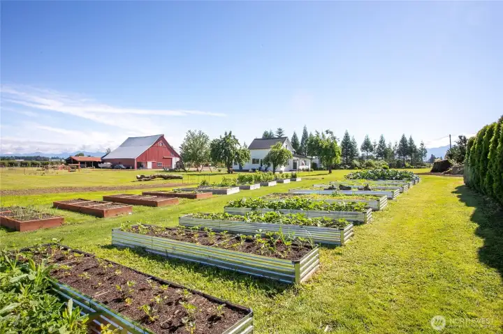 Raised beds with view of house and barn Raised beds with view of house and barn