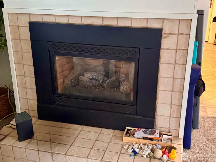 Gas fireplace