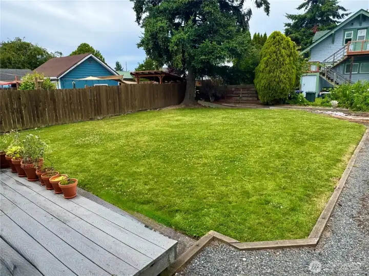Large back yard