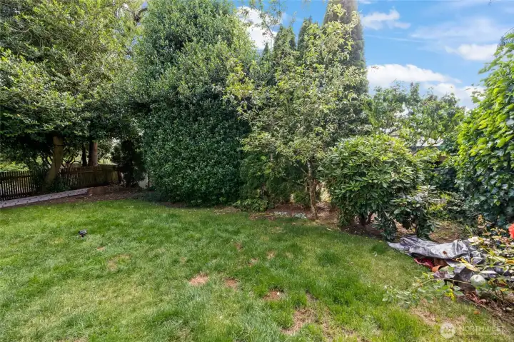 Back yard used by both tenants