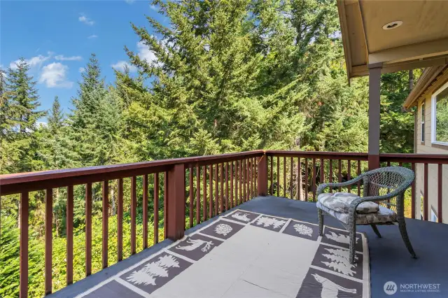 Upper deck off bonus family room