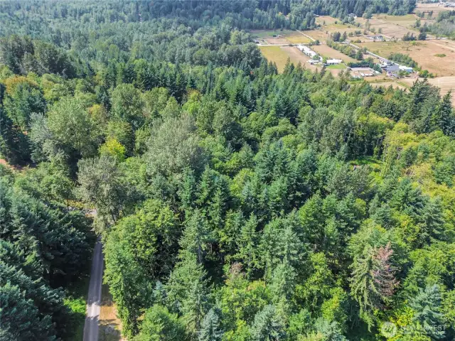 Elk Meadows community has lots of 19+ acres, private road
