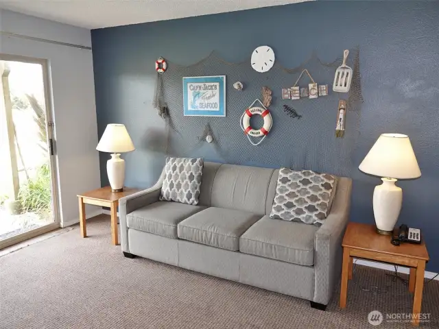 Hide-a-bed couch.