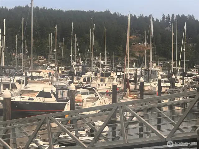 Welcome to Murphy’s Landing - boaters paradise!
