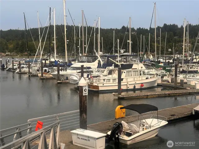 Views of the marina