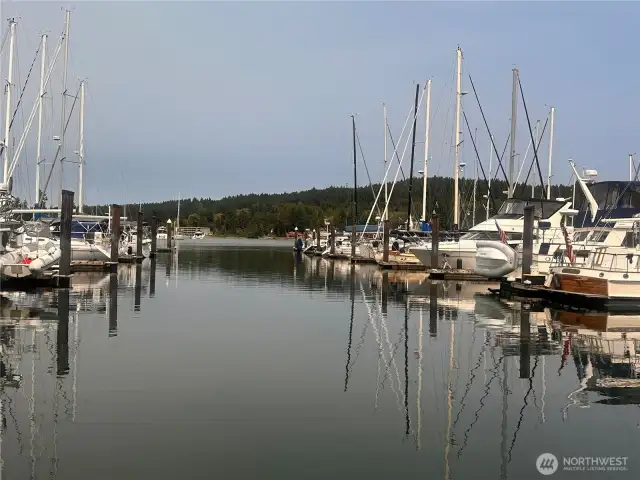More boats in the marina