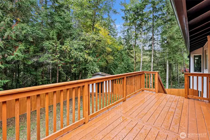 Beautiful brand new deck just installed October 2025 with access to the backyard.