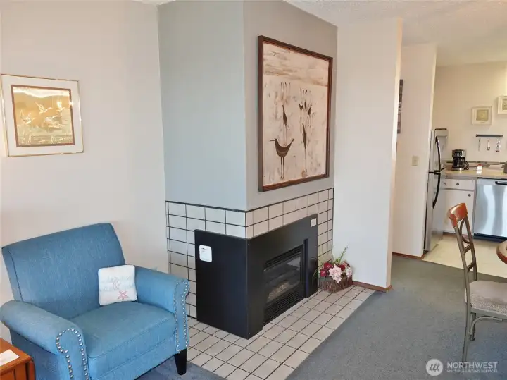 Propane Fireplace to keep warm.