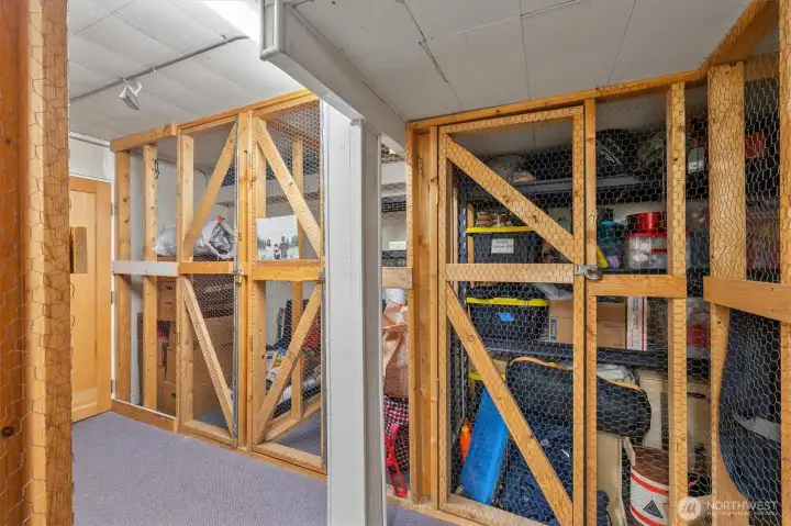 Storage in Basement