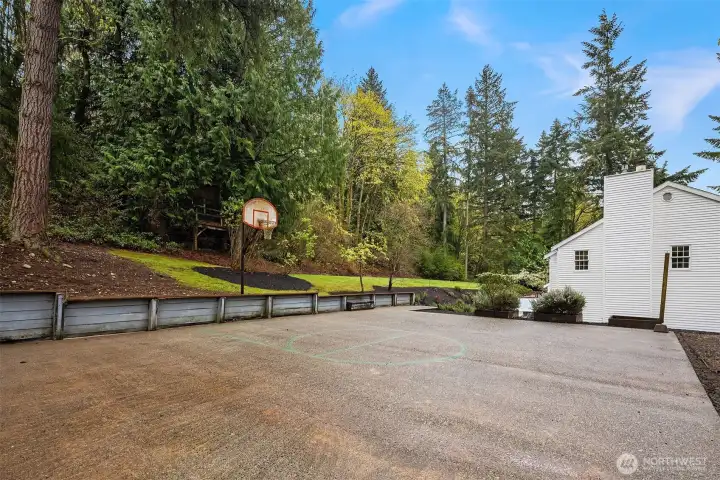 Full sports court with basketball hoop tucked against mature evergreens and a terraced upper yard — dedicated outdoor recreation right on the property