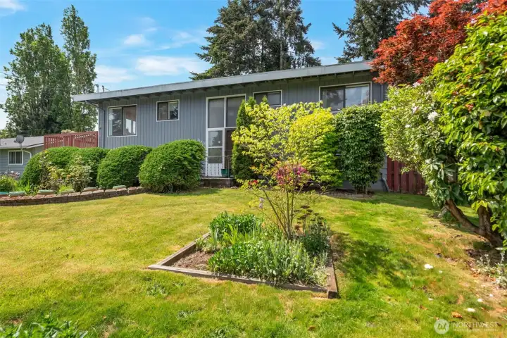 Large frontyard