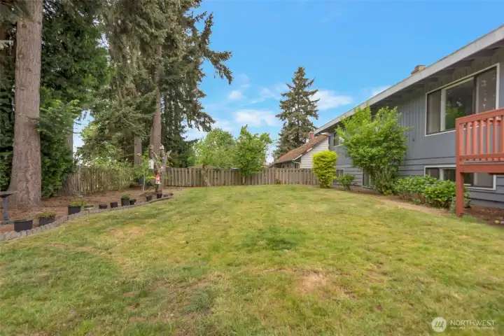 Spacious backyard with fig, apple, and plum trees