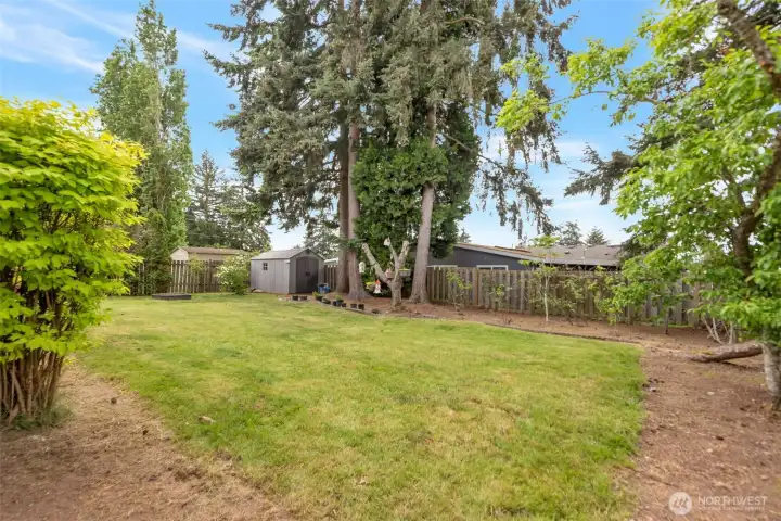 Fenced backyard