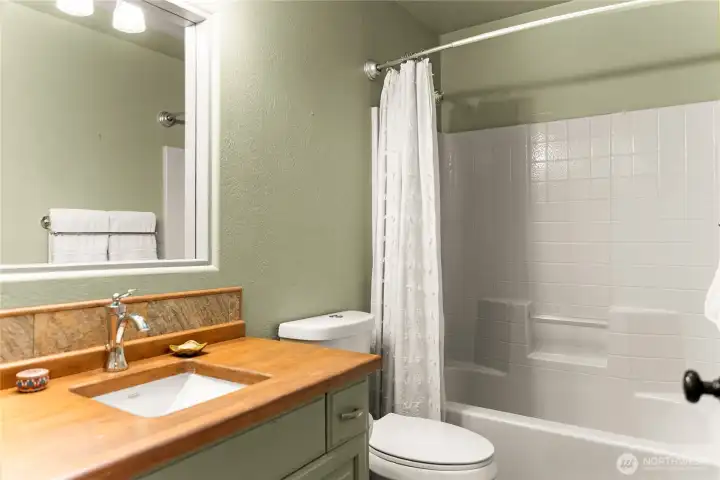 Guest bathroom