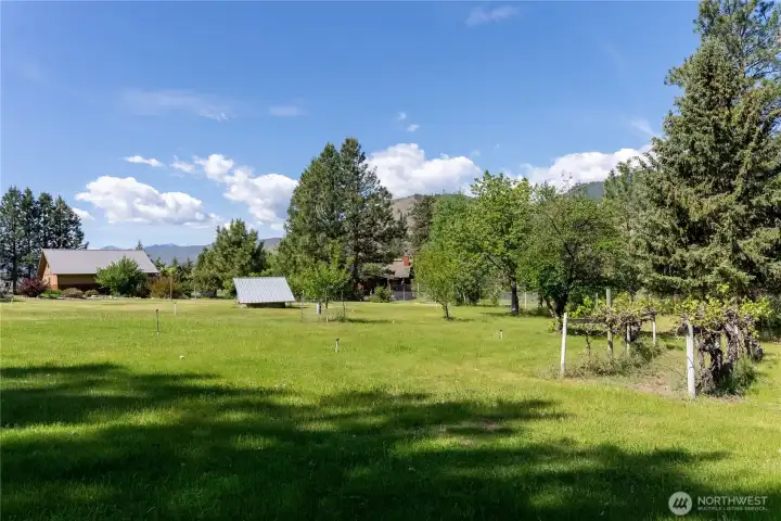 Your private vineyard will make you want to make wine!