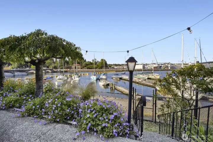 Waterfront