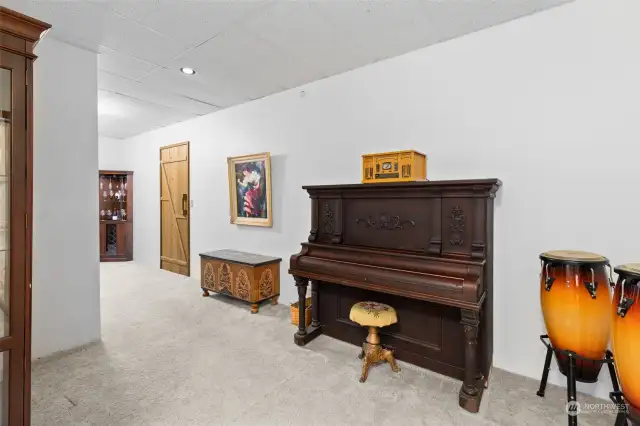 Music Area Adjacent to Insanely Large Utility Room WITH Walk-In Closet!