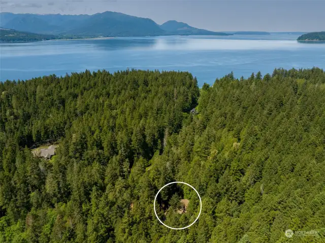 Walk to the State Park and the Hood Canal from this Location!