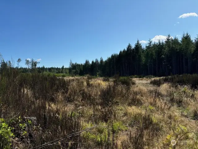 Looking from Burgundy Road south.