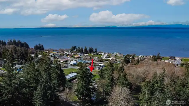 View from Deck
