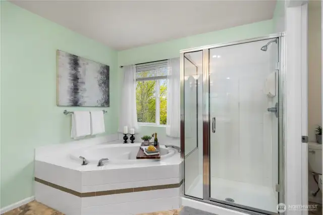 Primary ensuite w/ large walk-in closet