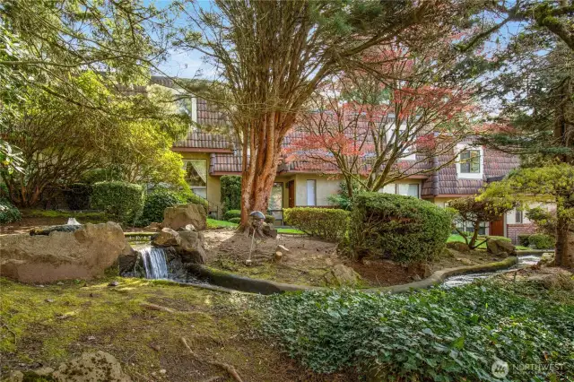 enjoy the tranquil setting of waterfall and water feature.