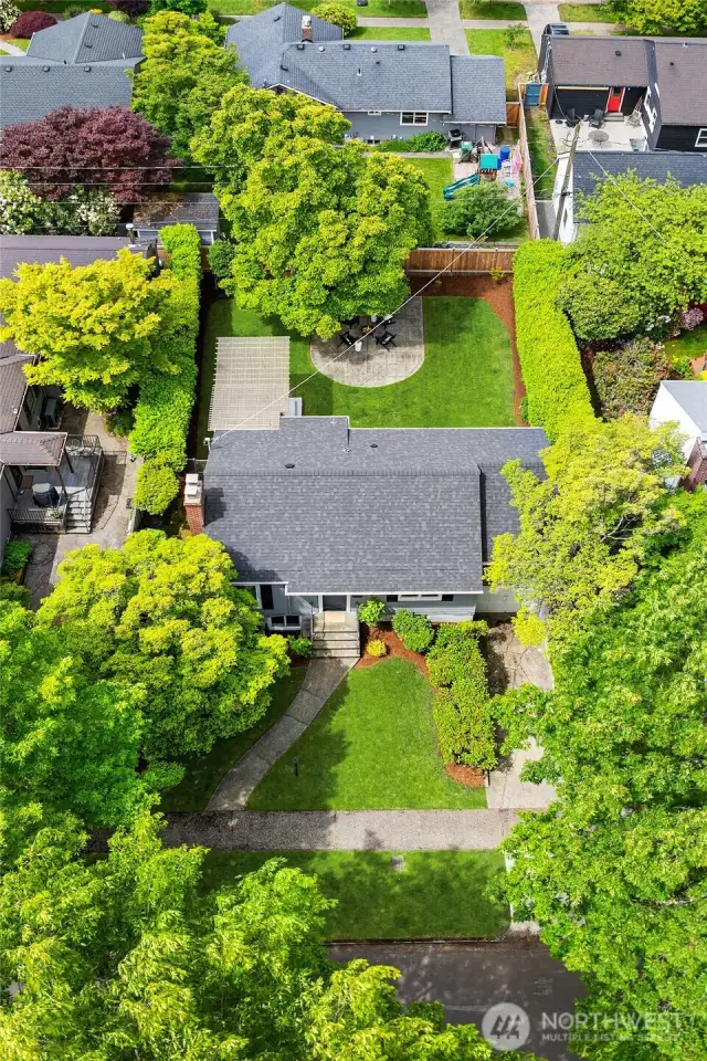 Tree-lined street with manicured front & back yards.