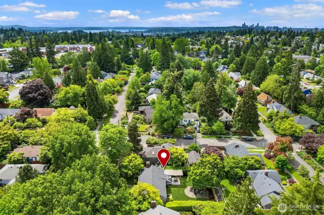 Wedgwood neighborhood - stroll to cafes, parks, restaurants & amentities!