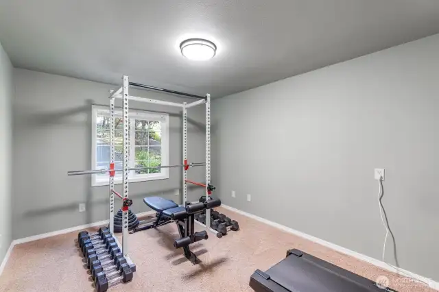 Main Floor Bedroom or Home Gym!