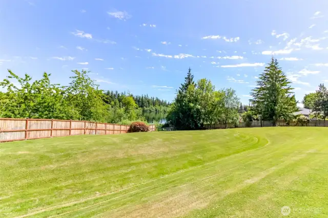 Yard / Common Area