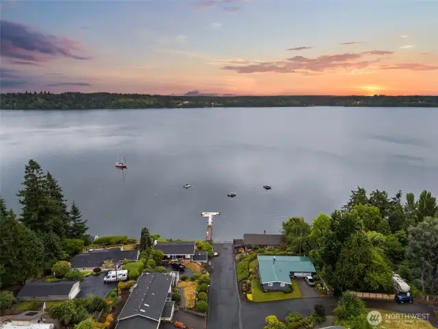 Watch the Orcas swim here this Summer!